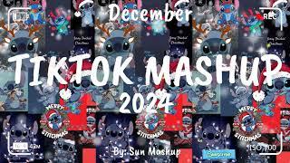 Tiktok Mashup December 2024 (Not Clean)