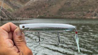 Esta es la Técnica Favorita de Mexangler! | Pesca de Superficie