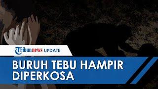 Hampir Diperkosa di Kebun, Buruh Tebu Relakan HP serta Motornya Dirampas Agar Selamat