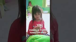 CHABILLA PUNYA HAMSTER LUCU || Meni anteng ga mau lepas