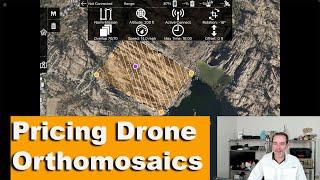 What Do I Charge For Drone Orthomosaic Maps | Pricing Drone Services