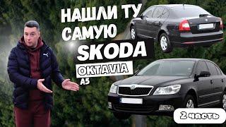 Не битая Octavia А5 за 8к, такое реально ? Часть 2