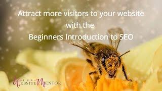 Getting started with SEO for your WordPress website