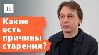 Что такое старение — Вадим Гладышев / ПостНаука