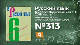 Упражнение №313 — Гдз по русскому языку 6 класс (Ладыженская) 2019 часть 1