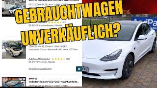 Ich suche ein Elektroauto. Übersicht Gebrauchtwagenmarkt für (bezahlbare) Elektroautos.