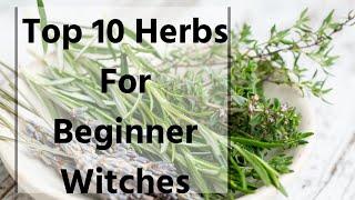 Top 10 Herbs For Beginner Witches