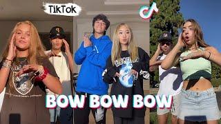 Bow Bow Bow - New Dance TikTok Compilation