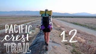 PCT // Walking on the LA Aqueduct // Episode 12