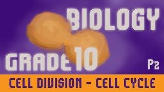 The Cell | Cell Division | Cell Cycle | Phases Of Cell Cycle [G1 phase, S phase & G2 phase] | Part 2