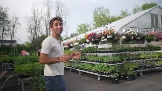 A look at the Shelburne, VT seasonal popup with Farmer Nick!