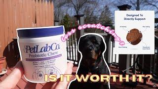 Zeke Wouldn't Stop Scratching Until We Tried This | PetLab Co.’s Probiotic Chews Honest Review