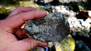 Prospecting On This Creek Reveals Visible Gold!