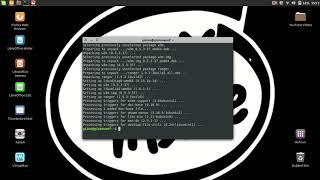 How To Install Ranger To A Linux Terminal