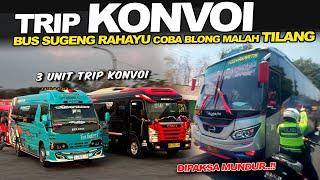 TRIP KONVAI 3 UNIT BANYAK KESERUAN DAN KETEGANGAN