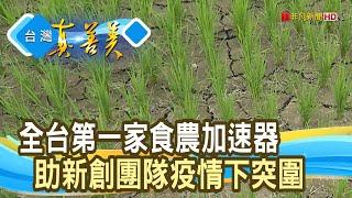 “食農加速器”造食勢英雄｜好食好事基金會｜【台灣真善美】2021.12.26