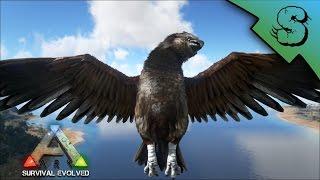 Perfect Tame Argy & Lv100 Alpha Raptor Killed | Ark: Survival Evolved [E3]