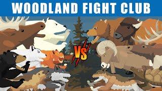 Woodland Fight Club [S1] | Animal Animation