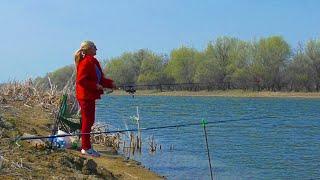 Разведчица на воблу Рыбалка в Астрахани 2021 Ловля Астраханской воблы