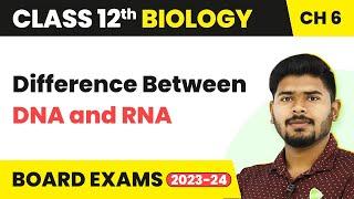 Difference Between DNA and RNA | Class 12 Biology (2022-23)