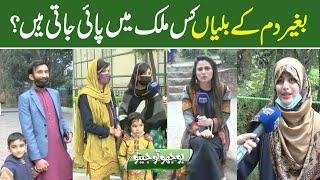 Bhoojo To Jeeto With Mehreen Fatima | Lahore News HD | 06 Feb 2022