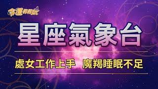 【命運好好玩】2024/12/20星座運勢 - 處女工作上手 魔羯睡眠不足