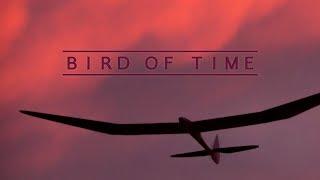 Bird of Time Maiden