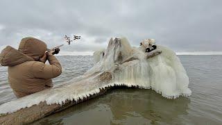 Epic Diver Duck Hunting on a Remote Island!