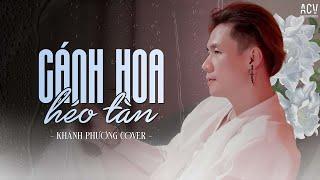 Cánh Hoa Héo Tàn - Khánh Phương Cover | Giống Như Một Vở Kịch Buồn Anh  Diễn Trọn Cả Hai Vai...