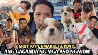 CHOW CHOW NA MUKANG SHIH TZU.MGA KA ABANG ABANG SA GROTTO PET MARKET (UPDATE)