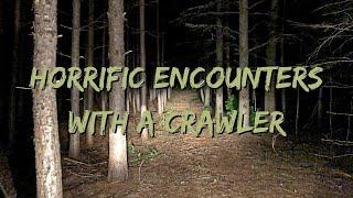 Horrific Encounters with a Crawler