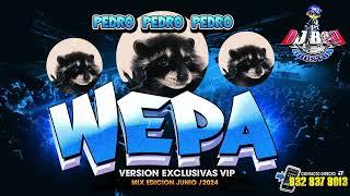 { ESTRENO } Kumbias Wepa Mix / Pedro Pedro Pedro Junio 2024 - Dj Boy Houston El Original