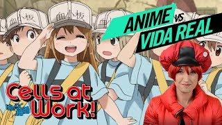 CELLS AT WORK! COM UMA MÉDICA | ANIME vs VIDA REAL | 01