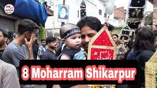 8 Moharram Shikarpur | Shikarpur Juloos 8 Moharram | Shikarpur Azadari | Mission Azadari