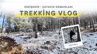 Eskişehir'de Trekking Keyfi: Çatacık Ormanlarında 12 Km Doğa Yürüyüşü ️ -