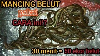 jarum pentul andalanku || mancing belut super cepat