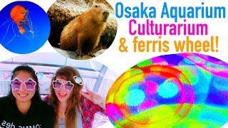 Let's Explore: Mahou Art, Kaiyukan Aquarium, and Tempozan Ferris Wheel!