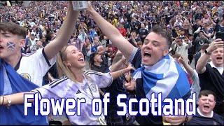 Flower of Scotland in Cologne