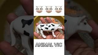 Vaca - Videos de Vaca #shortanimal #animalesdelagranja #shortsfeed #youtubeshort #sonidosdeanimales