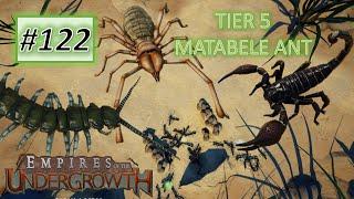 Empires of the Undergrowth #122: Epic Battle Against 3 Giant Bugs! - 5.1 Triage (Impossible)