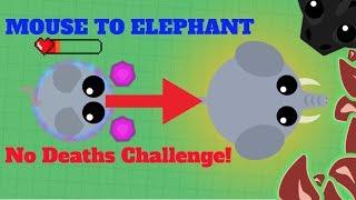 Mope.io Mouse to Elephant No Deaths Challenge - Mope.io