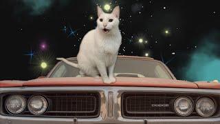 The Weeknd - Blinding Lights - Cats Version