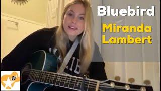 Bluebird | Miranda Lambert | Beginner Guitar Lesson @BrookeHatala