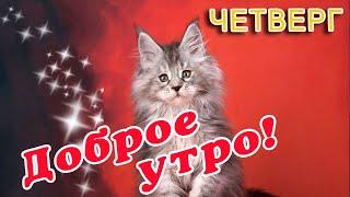  ДОБРОГО УТРА / ДОБРОЕ УТРО / С ДОБРЫМ УТРОМ / ДОБРОГО УТРА ЛЮБИМОЙ / ПОЗИТИВ / ПОЗИТИВЧИК