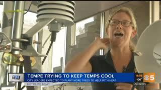 VIDEO: Tempe working to 'cool down' the city in extreme heat