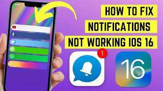 Fix" iOS 16 Notification Not Working or Showing on iPhone