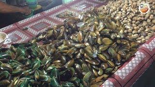 AJIBB BANGET !!! SURGANYA KERANG LAUT DIJUAL BEBAS LANGSUNG MAKAN | JEPARA STREET FOOD #BikinNgiler