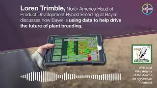 Loren Trimble, North America Head of Product Development Hybrid Breeding at Bayer