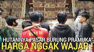 VIRAL KAN ! PART 3 HARI INI HUTANNYA PASAR BURUNG PRAMUKA MAKIN GILA KIOS SIGIT