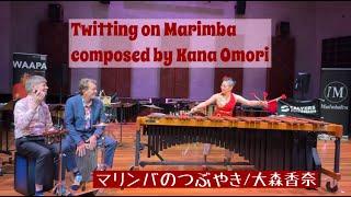 Twitting on Marimba/Kana Omori 大森香奈作曲「マリンバのつぶやき」